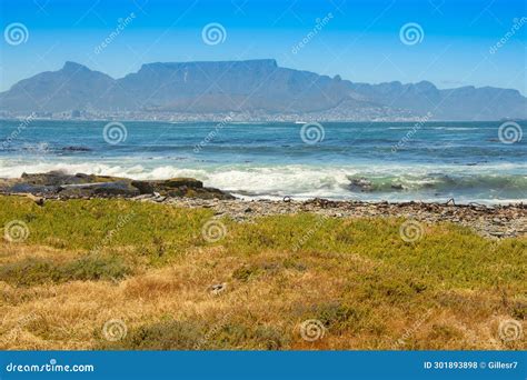 View of Cape Town and the Table from Robben Island Stock Photo - Image of beach, robben: 301893898
