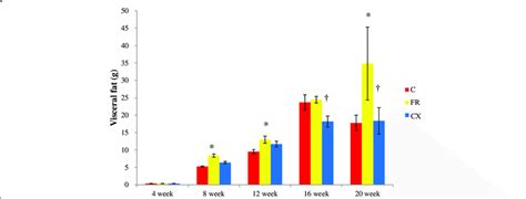 Abdominal fat tissues in fetal programming model after... | Download Scientific Diagram