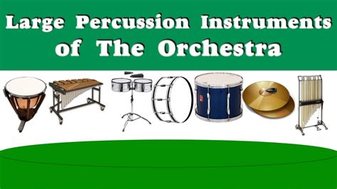 Introduction to the instruments of the Orchestra Large percussion ...