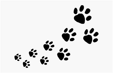 Animal Footprints Clip Art, HD Png Download , Transparent Png Image - PNGitem