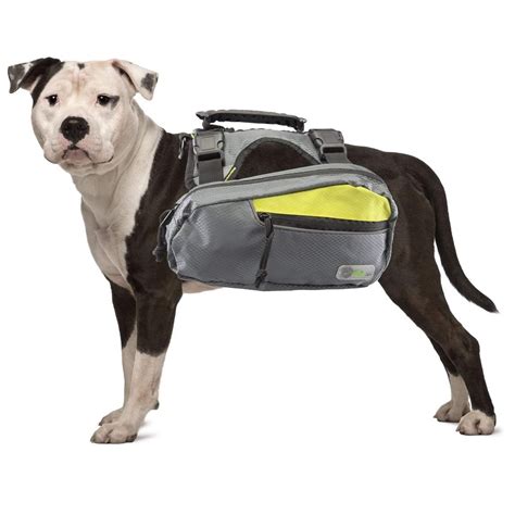 Go Fresh 2-in-1 Pet Dog Harness and Hiking Dog Backpack Outdoor Gear Travel Camping Rucksack, 2 ...
