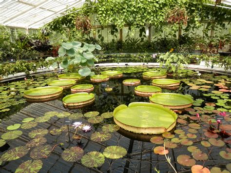 Royal Botanic Gardens at Kew - On The List