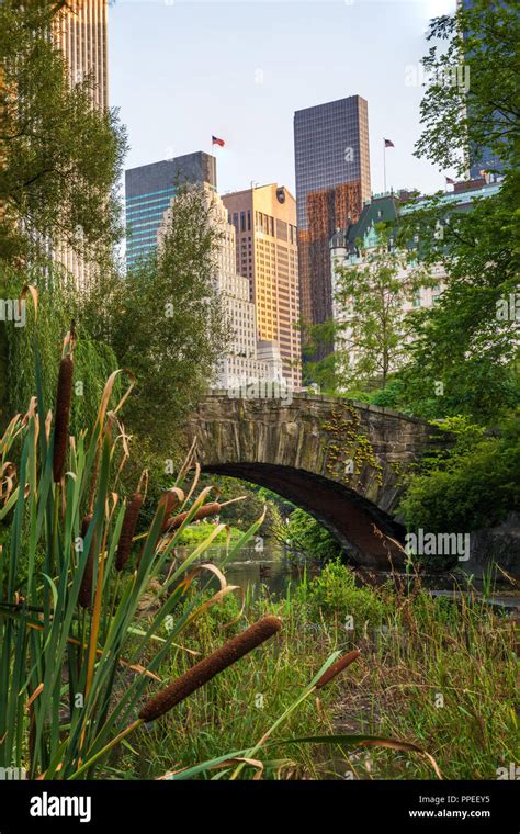 Central Park in Manhattan at sunset Stock Photo - Alamy