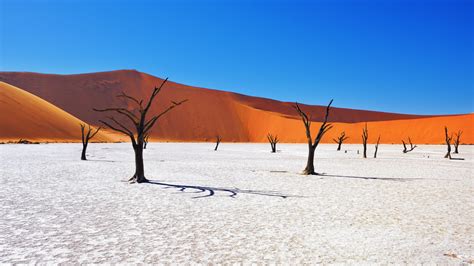 Namibia - United States Department of State