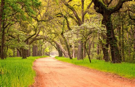 Welcome to Edisto Island, South Carolina! - Edisto Island