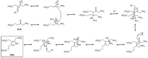 Pyrrole - Wikipedia