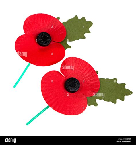 British poppies remembrance Cut Out Stock Images & Pictures - Alamy