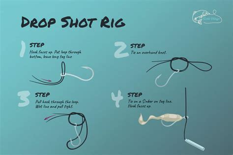 The Best Perch Rigs: 7 Great Set-Ups to Boost Your Catch