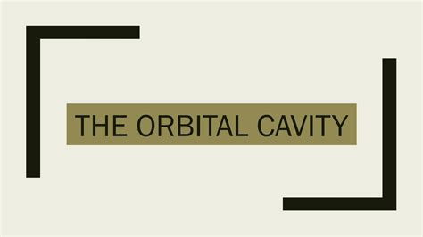 SOLUTION: Anatomy of Orbital Cavity - Studypool