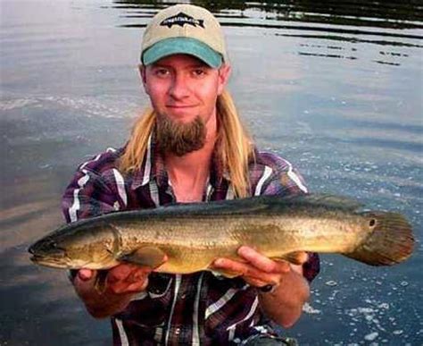 Bowfin Fish Amia calva Dogfish Grinnel Cabbage Pike