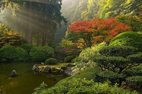 Japanese Garden Wallpapers - Top Free Japanese Garden Backgrounds - WallpaperAccess