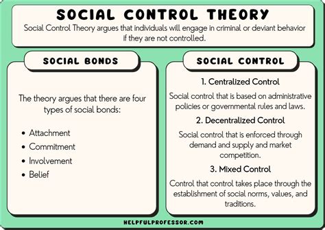 Hirschi’s Social Control Theory: Examples, Definition, Types (2024)