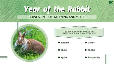 What Does Year Of The Rabbit Mean 2025 - Aimee Atlante