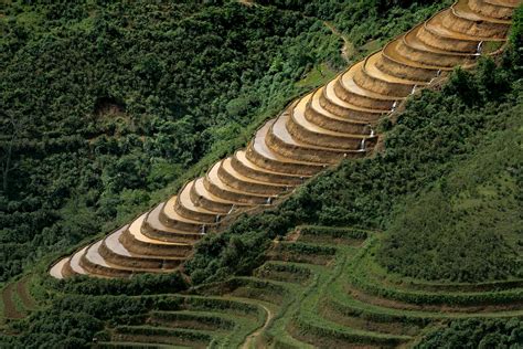 Aerial Photography Of Rice Terraces · Free Stock Photo