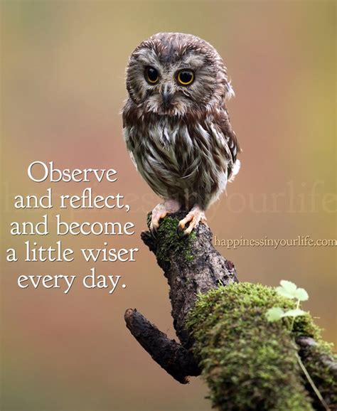 Owl Sayings And Quotes. QuotesGram