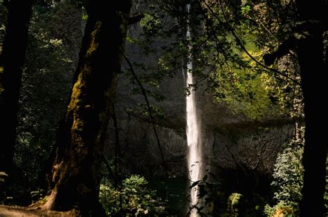 Horizontal Image Of A Waterfall In A Forest In Summer Around Corbett ...