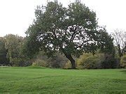 Category:Luffenham Heath Golf Course - Wikimedia Commons