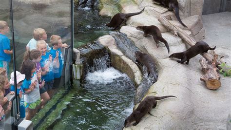 Tennessee Aquarium - Sharing Horizons