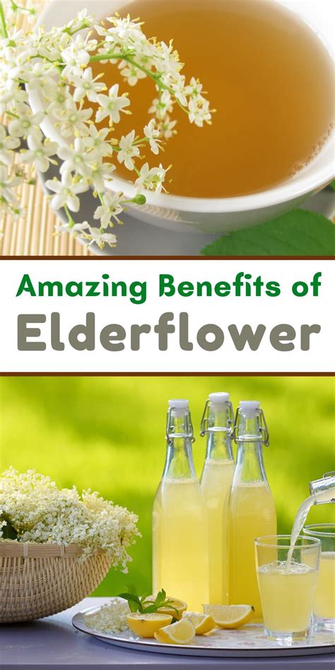 Elderflower Tea Benefits & Recipe - Flower Power in a Cup!