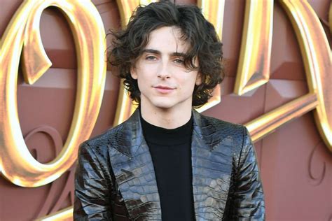 See Timothée Chalamet's Red Carpet Outfit at 'Wonka' L.A. Premiere: Photo