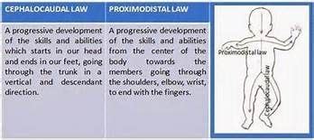 Cephalocaudal & Proximodistal Development | Development, Pediatric nursing, Pediatrics