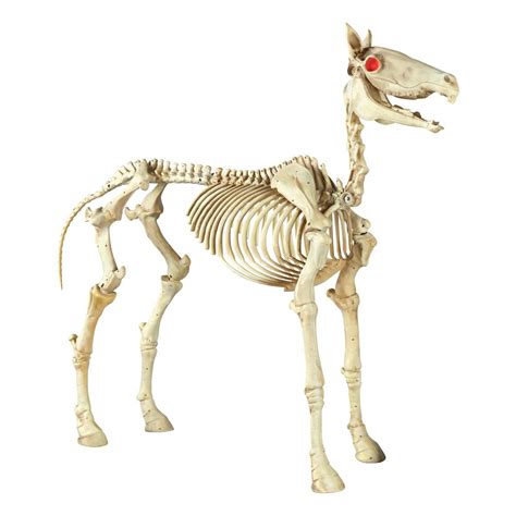 Home Accents Holiday 74 in. Halloween Standing Skeleton Horse-6342 ...