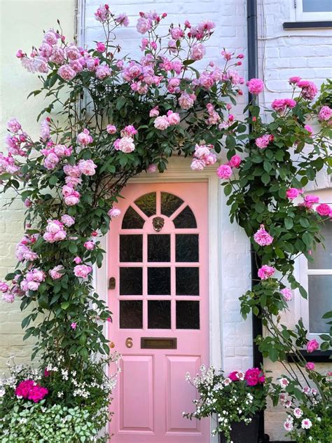 Transform Your Garden with these 8 Best Climbing Roses