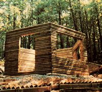 A Homestead Cabin Construction Project Using Landscape Timbers – Mother Earth News