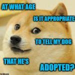 Doge Meme Generator - Imgflip