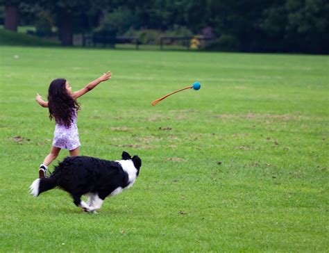 Fetch game - Healthy Pet Systems by Dog Food Judge Mirko Nuli
