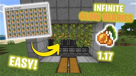 SIMPLE 1.17 FAST AUTOMATIC GLOW BERRIES FARM TUTORIAL in Minecraft Bedrock (MCPE/Xbox/PS4 ...