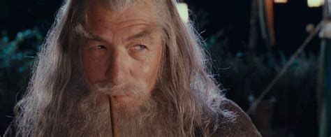 Ian McKellen's blog entries while filming LOTR | Lotr, Ian mckellen ...