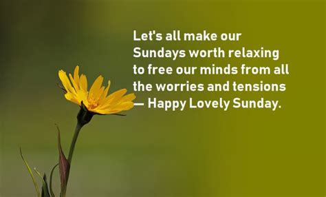 Happy Sunday Quotes Make Your Day Beautiful - BestInfoHub