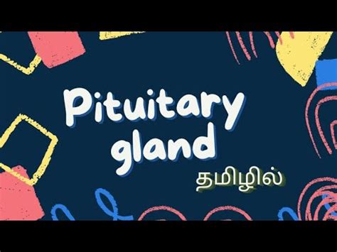 PITUITARY GLAND | ADENOHYPOPHYSIS | NEUROHYPOPHYSIS | LOCATION | PARTS ...