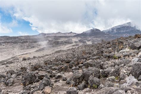 Hundreds of Igneous Volcanic Rocks Scattered Across the Alpine Desert ...