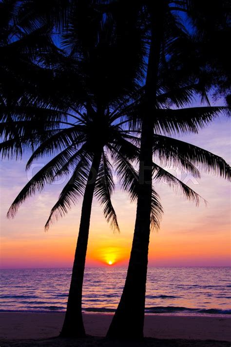 Sunset landscape. beach sunset. sunset ... | Stock image | Colourbox