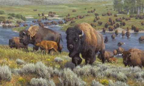 Pin by Marie King on Native american art. | Wildlife art, American animals, Jackson hole art