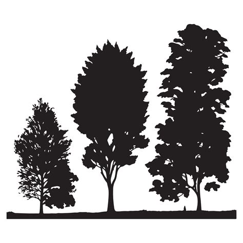 Group of trees silhouette. Tree silhouette vector. 24699210 Vector Art ...