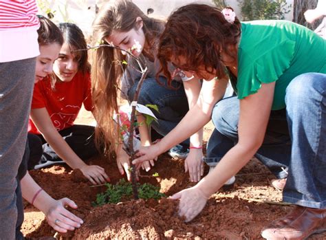 תְּפִילַּת הַנּוֹטֵעַ | Prayer for a Tree Planting in Israel, by Rav Ben-Tsiyon Meir Ḥai Uziel ...