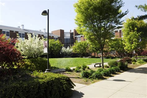 Visitor's Guide to Adelphi University