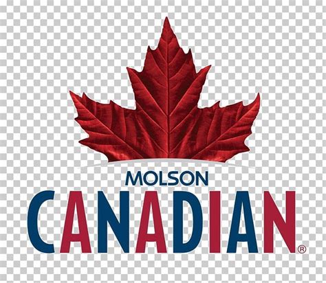 Molson Brewery Beer Lager Molson Coors Brewing Company PNG - Free ...