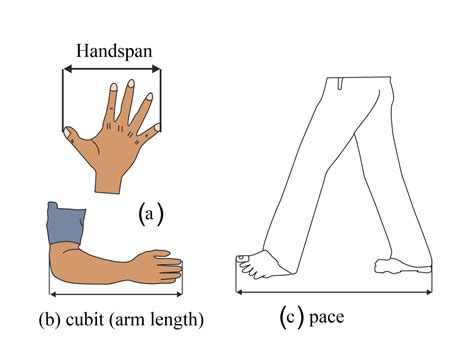 Cubit Measurement