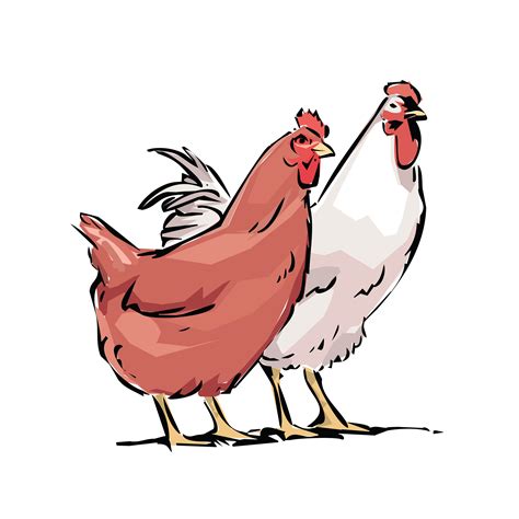 Free Clipart Of A chicken hen and rooster