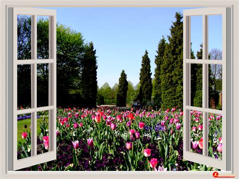 Spring Window Zoom Background