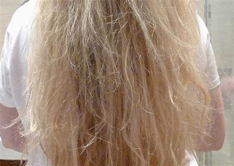 How to Care for Bleach-damaged Hair | Blush