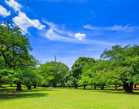 住みたくなる街・練馬区【自然公園、レジャー、防災】 | 東京イベントプラス | 親子で楽しいお得な週末お出かけ情報