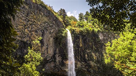 waterfall, jungle, dark, vegetation, nature, 4k HD Wallpaper