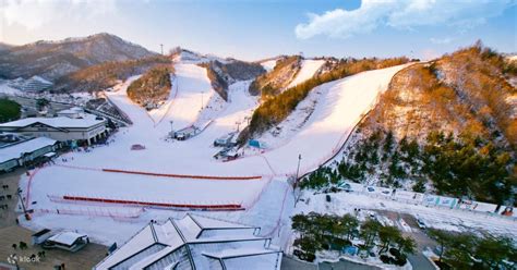 Elysian Ski Resort Day Trip from Seoul - Klook Canada