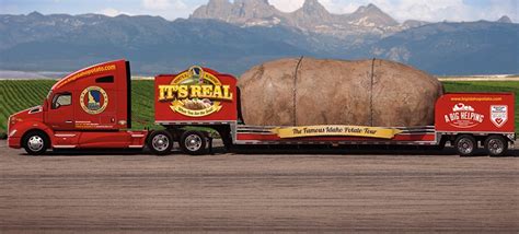 'This Spud's for You': World's largest potato joins World's Shortest ...