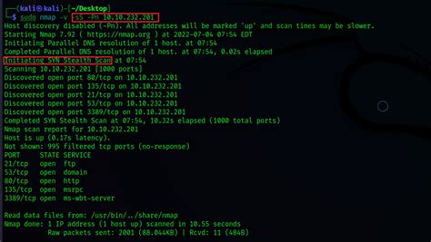 Nmap All Port Scan - Ricca Chloette